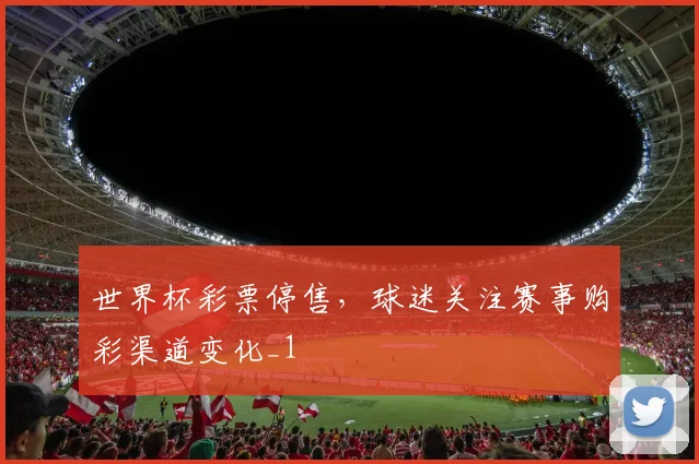 世界杯彩票停售，球迷关注赛事购彩渠道变化_1