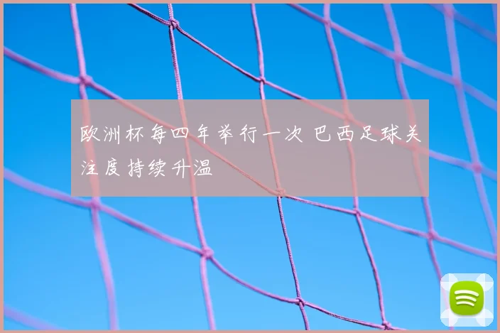 欧洲杯每四年举行一次 巴西足球关注度持续升温