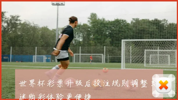 世界杯彩票升级后投注规则调整 球迷购彩体验更便捷