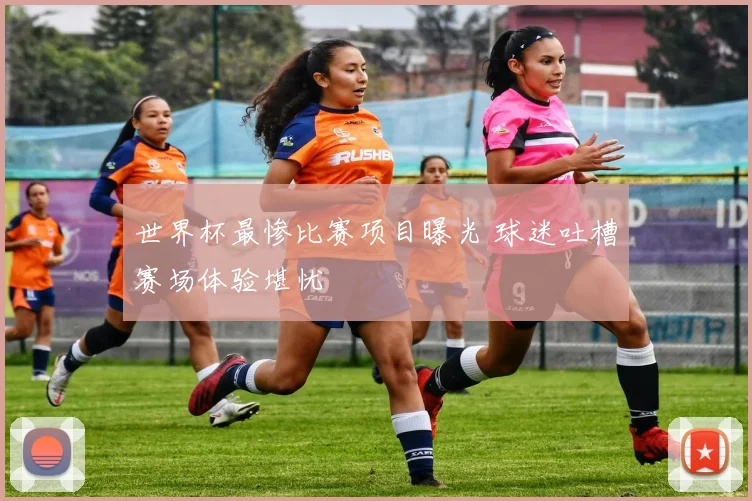 世界杯最惨比赛项目曝光 球迷吐槽赛场体验堪忧