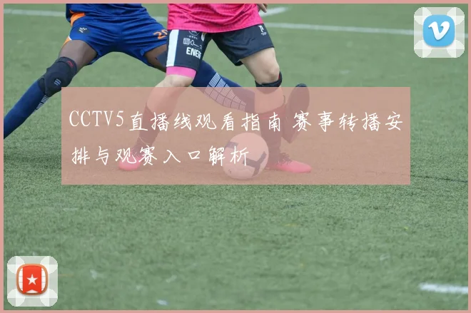 CCTV5直播线观看指南 赛事转播安排与观赛入口解析
