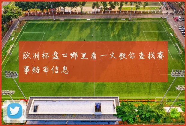 欧洲杯盘口哪里看一文教你查找赛事赔率信息