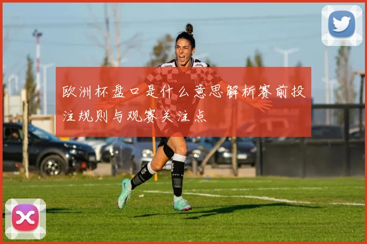 欧洲杯盘口是什么意思解析赛前投注规则与观赛关注点