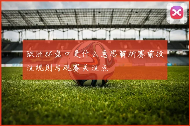 欧洲杯盘口是什么意思解析赛前投注规则与观赛关注点