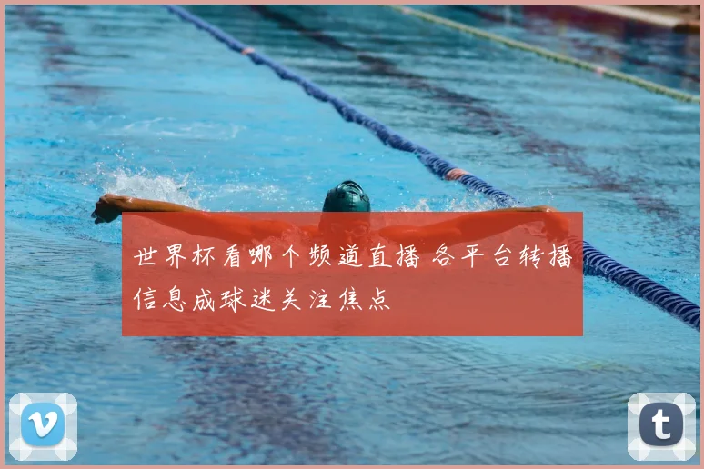 世界杯看哪个频道直播 各平台转播信息成球迷关注焦点