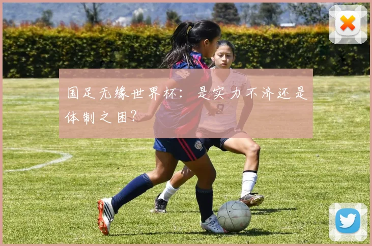 国足无缘世界杯:是实力不济还是体制之困?
