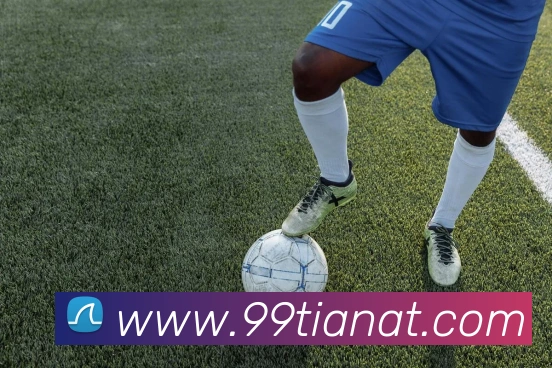 半岛平台发展历程